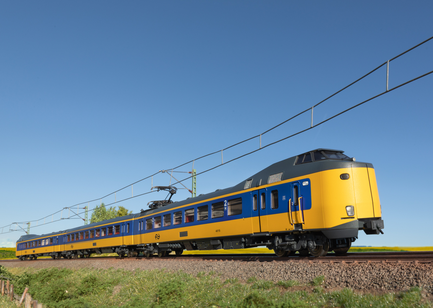 25425_mot.jpg
